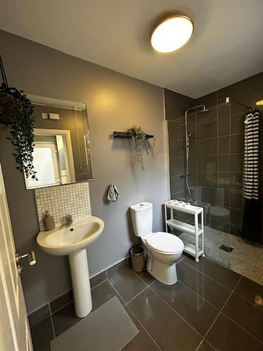 Vibrant City Centre Townhouse With Free Parking Rare Outdoor Patio Belfast Zewnętrze zdjęcie