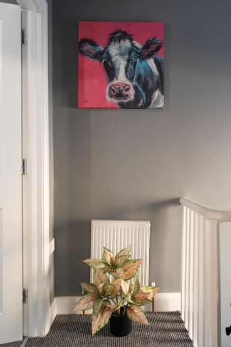 Vibrant City Centre Townhouse With Free Parking Rare Outdoor Patio Belfast Zewnętrze zdjęcie